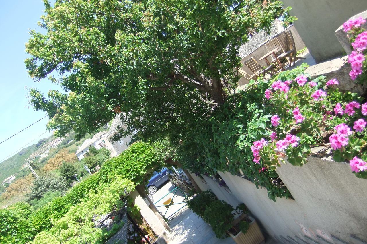 Hôtel restaurant U.Pozzu Sisco Extérieur photo